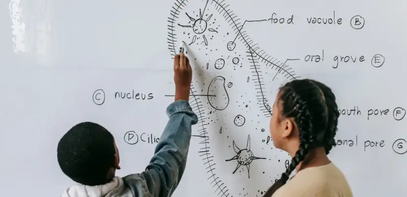 Lise Okula Hazırlık