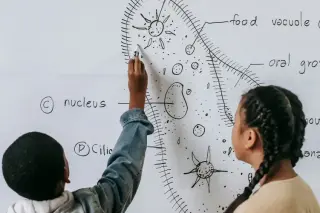 Lise Okula Hazırlık