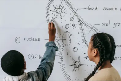 Lise Okula Hazırlık